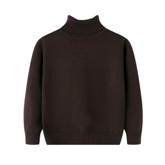 Turtleneck Sweaters for Boys Girls 2-15 Years Kids Winter Knitwear Clothes Long Sleeve High Neck Knit Pullover Top (14 Years, Brown)
