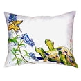 thumbnail image 1 of Turtles & Butterfly No Cord Pillow 16x20, 1 of 3