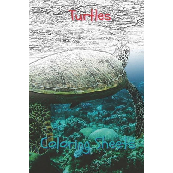 Turtles Coloring Sheets: 30 Turtles Drawings, Coloring Sheets Adults Relaxation, Coloring Book for Kids, for Girls, Volume 5 (Paperback)