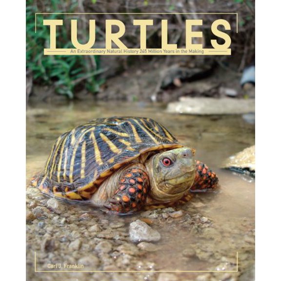 Pre-Owned Turtles (Hardcover) 0785827757 9780785827757