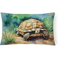 thumbnail image 1 of Turtles Tortoises Throw Pillow 12 in x 16 in, 1 of 4
