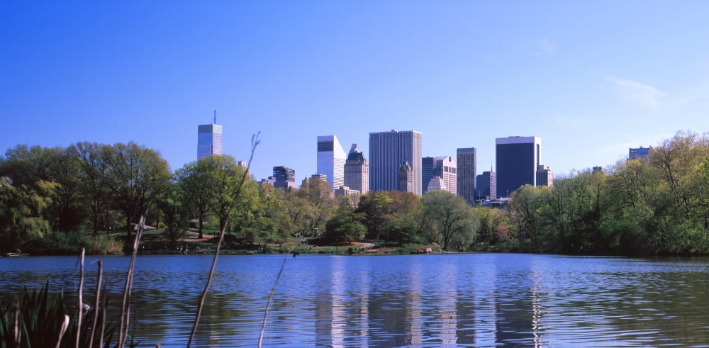 Turtles in the lake Central Park Manhattan New York City New York State USA Canvas Art - Panoramic Images (27 x 9)
