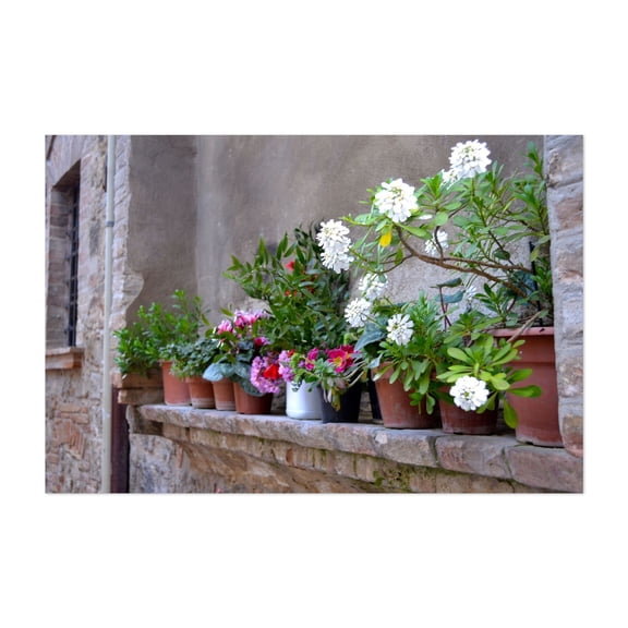 Tuscan Garden - Tuscany Italy Photography Garden Botanical Floral Flowers Architecture Rustic Italian Unframed Wall Art Print 4 x 6 inches