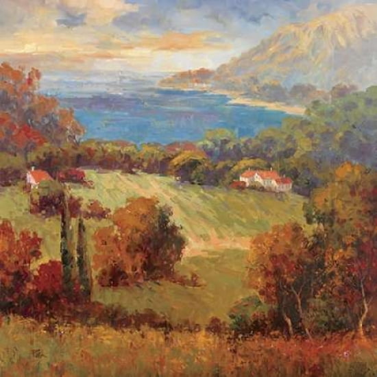Tuscan Hill View Canvas Art - K Park (24 x 24)