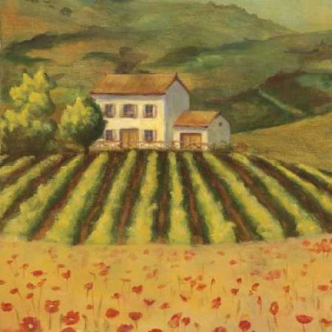 Tuscan Landscape I Canvas Art - Ella Belamar (24 x 24)