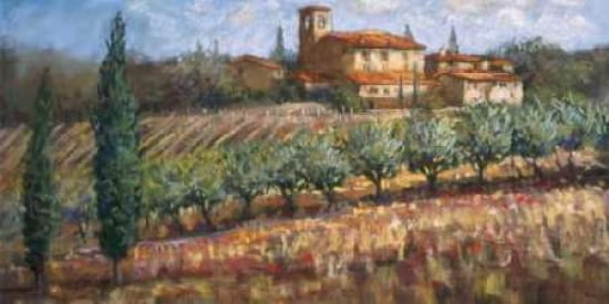Tuscan Olives Canvas Art - Malcolm Surridge (24 x 48)