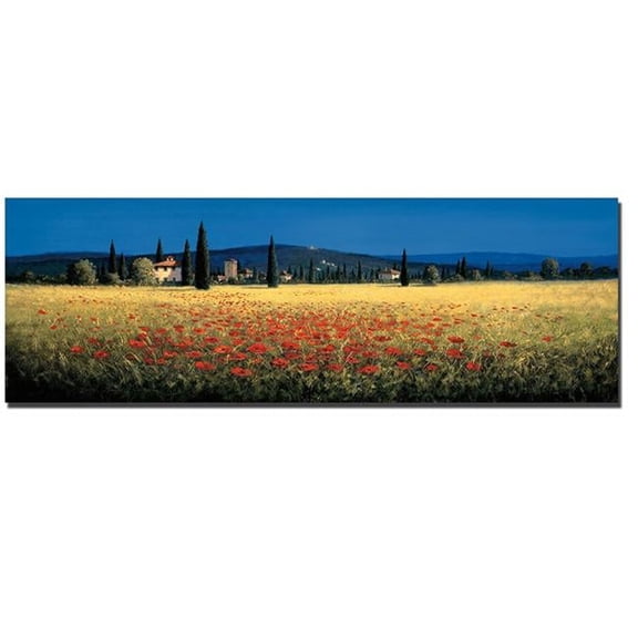 Tuscan Panorama by David Short Custom Gallery-Wrapped Canvas Giclee Art - Ready to Hang, 12 x 36 x 1.5 in.