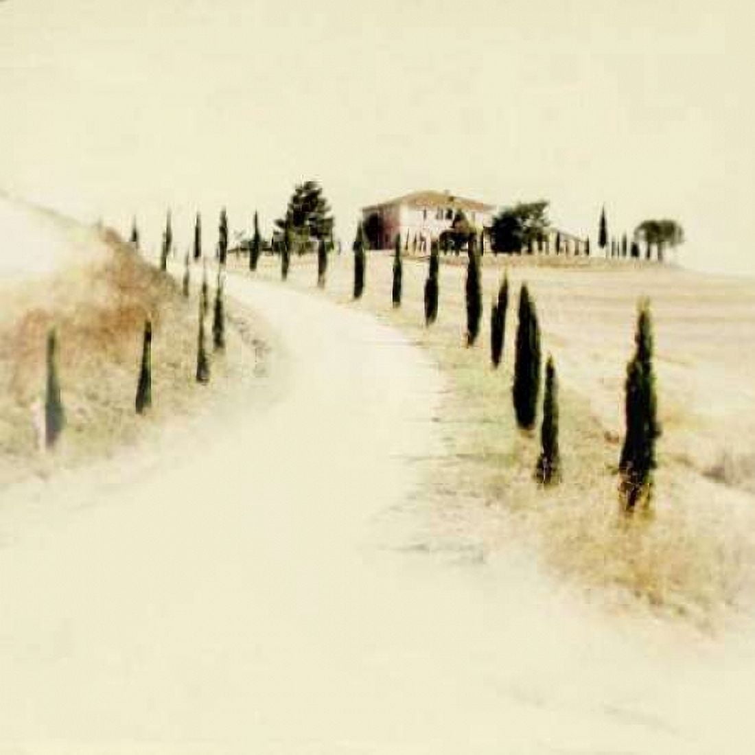 Tuscan Villa II Canvas Art - Amy Melious (24 x 24)