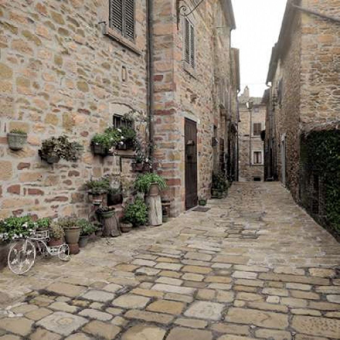 Tuscany - 14 Canvas Art - Alan Blaustein (24 x 24)