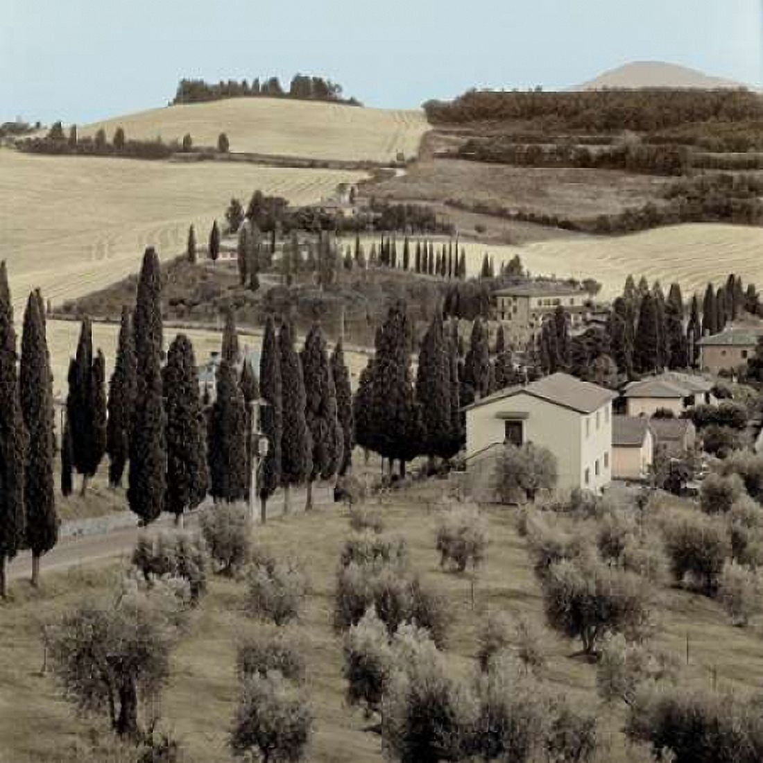 Tuscany - 15 Canvas Art - Alan Blaustein (24 x 24)