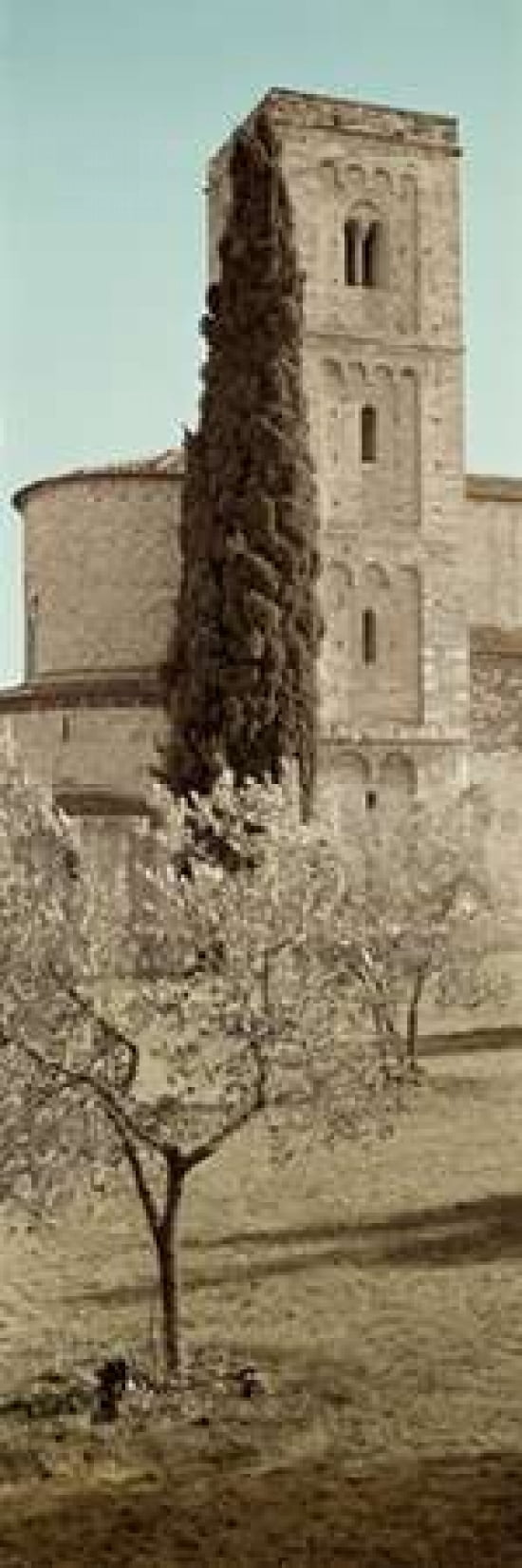 Tuscany - 16 Canvas Art - Alan Blaustein (12 x 36)