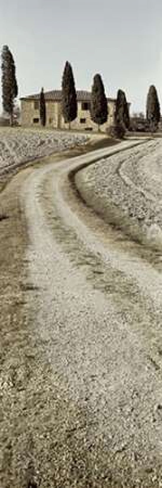 Tuscany - 17 Canvas Art - Alan Blaustein (8 x 24)