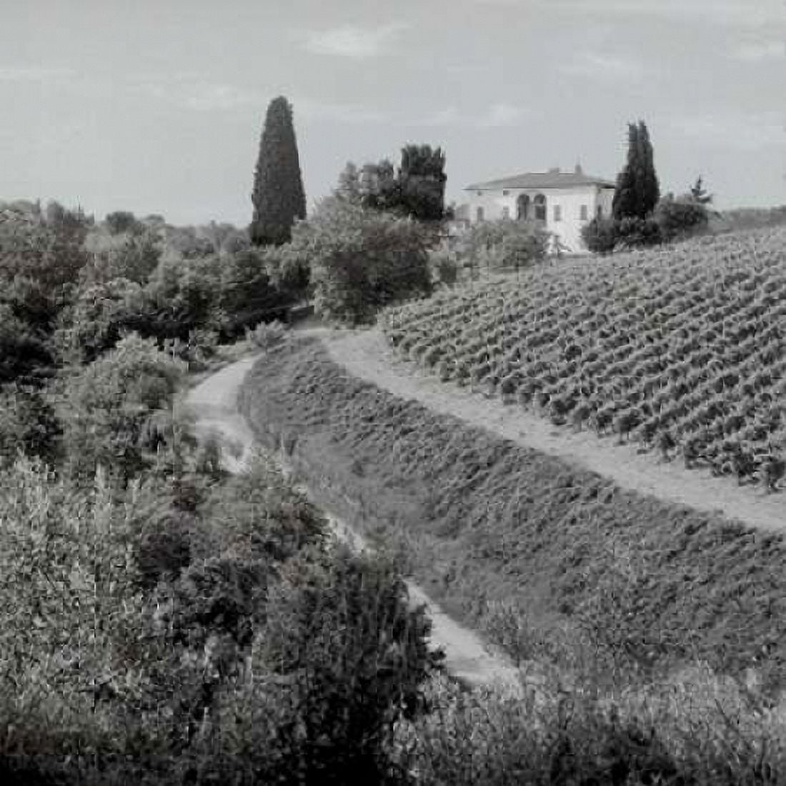 Tuscany - 5 Canvas Art - Alan Blaustein (24 x 24)