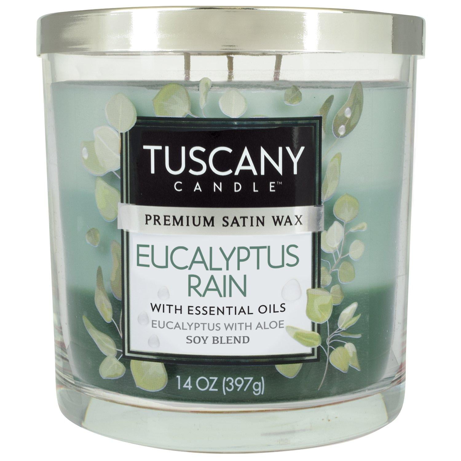 Eucalyptus Rain Scented Soy Jar Candle, 14 oz - Blue