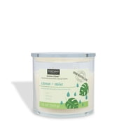 Citron + Mist Scented Odor Neutralizing Candle 12 oz   Serene Clean Collection
