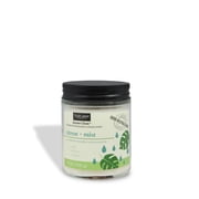 Citron + Mist Scented Odor Neutralizing Candle 7 oz   Serene Clean Collection