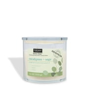 Eucalyptus + Sage Scented Odor Neutralizing Candle 12 oz   Serene Clean Collection