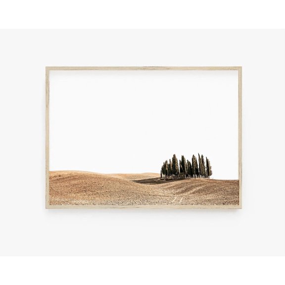 Tuscany Cypress Landscape Travel Poster