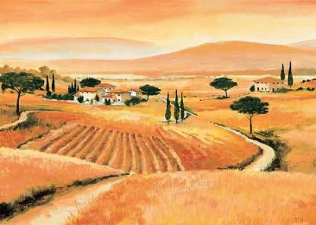 Tuscany IV Canvas Art - Renee (20 x 28)