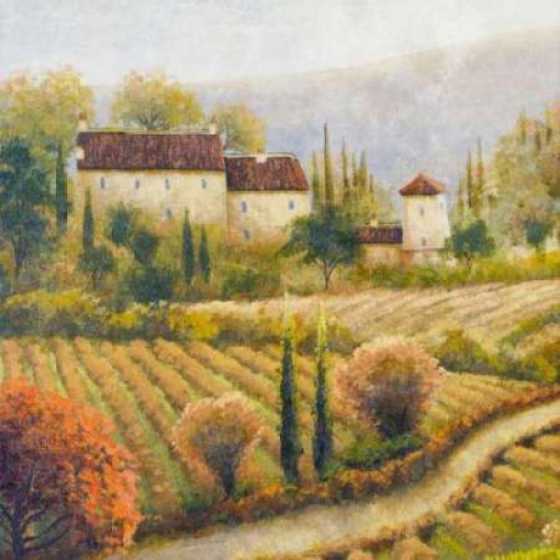 Tuscany Vineyard I Canvas Art - Michael Marcon (24 x 24)