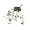 thumbnail image 1 of Tuscom Artificial Orchid Flowers Fake Flowers for Decoration Faux Phalaenopsis for Home Wedding Decor Floral Arrangement Artificial Plants, 1 of 6