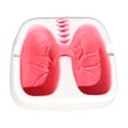 thumbnail image 1 of Tuscom Lung Shaped Heart Ashtray 4.52x3.93In, Anatomical Smoking Prop, Desktop Ash Catcher with Grooved Rest, Conversation Piece Gag Gift for Smokers, 1 of 7