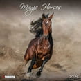Tushita Publishing, Magic Horses 2025 Wall Calendar