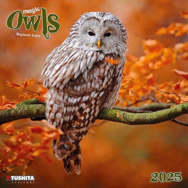 Tushita Publishing, Magic Owls 2025 Wall Calendar
