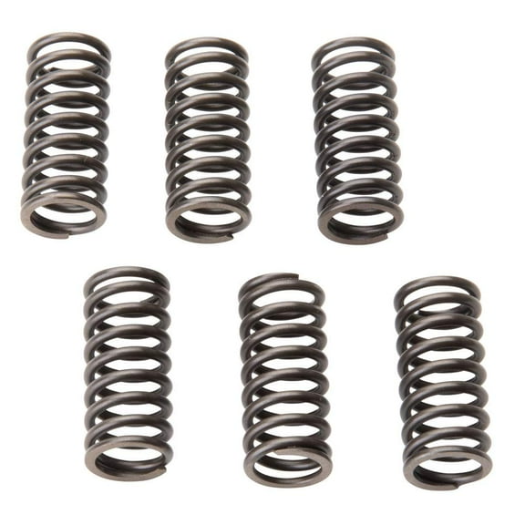 Tusk TS-1024 Clutch Spring Set