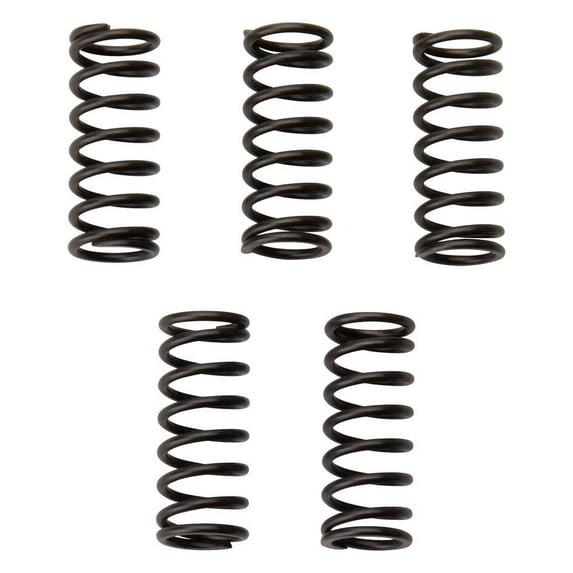 Tusk TS-1121 Clutch Spring Set