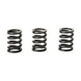 thumbnail image 1 of Tusk Clutch Spring Set, 1 of 4