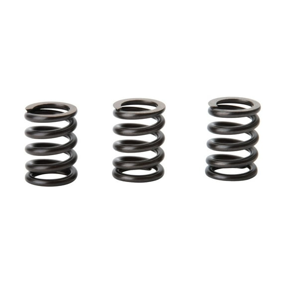 Tusk Clutch Spring Set