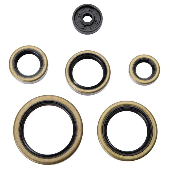 Tusk Engine Oil Seal Kit For Husaberg TE 250 2012-2014