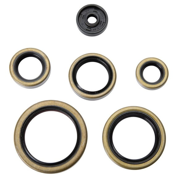 Tusk Engine Oil Seal Kit for Husqvarna TE 250 2014-2018