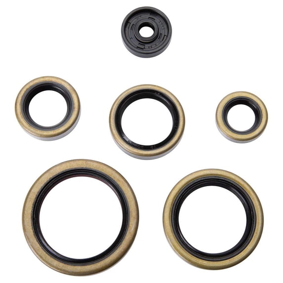 Tusk Engine Oil Seal Kit for KTM 300 XC (Fuel Injected) 2020-2022
