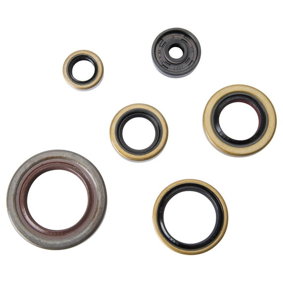 Tusk Engine Oil Seal Kit