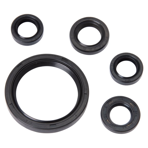 Tusk Engine Oil Seal Kit
