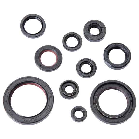 Tusk Engine Oil Seal Kit
