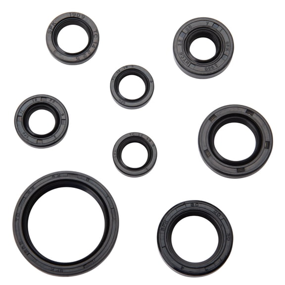 Tusk Engine Oil Seal Kit