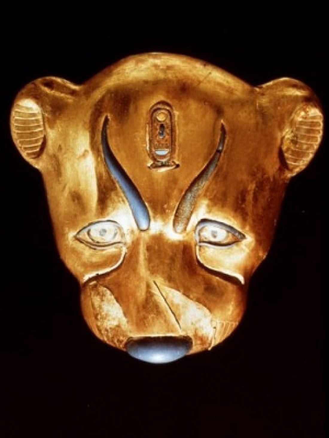 Tutankhamen Leopard Head Egyptian Art Egyptian National Museum Cairo Egypt Canvas Art - (24 x 36)