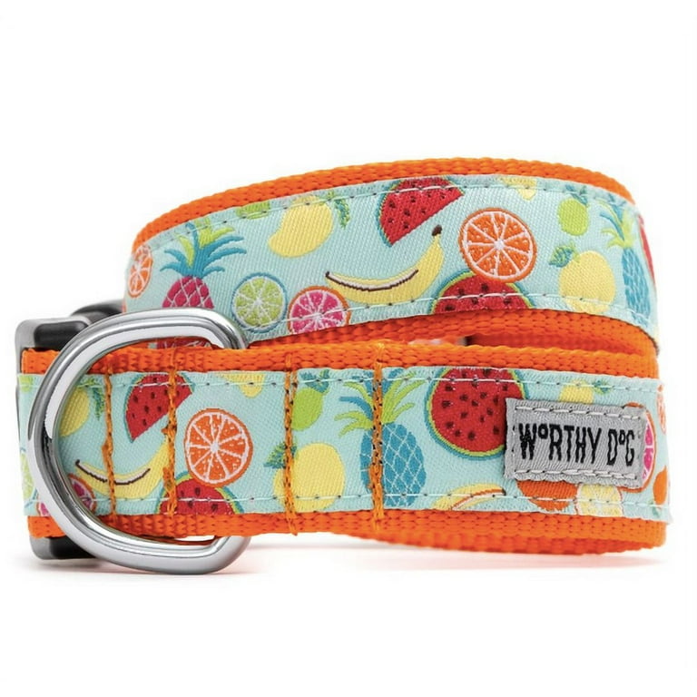 The worthy on sale dog