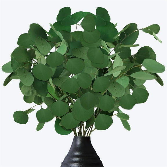 Tutuviw 1 Bundles Preserved Dried Eucalyptus Stems Pure Natural Real Silver Dollar Leaves 15-16in Fresh Eucalyptus Plant Branches for Shower Greenery Branches for Home Greenery Decor