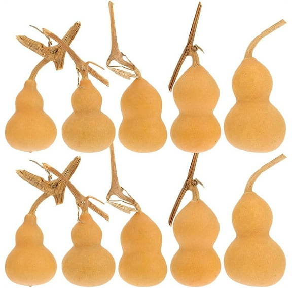 Tutuviw 10 Pcs Natural Gourd Shape Gourds Dried for Crafts Mini Gourd Natural Dried Gourd Ornament for DIY Crafts Home Office Practical Desktop Decoration, 1.5-2.7in