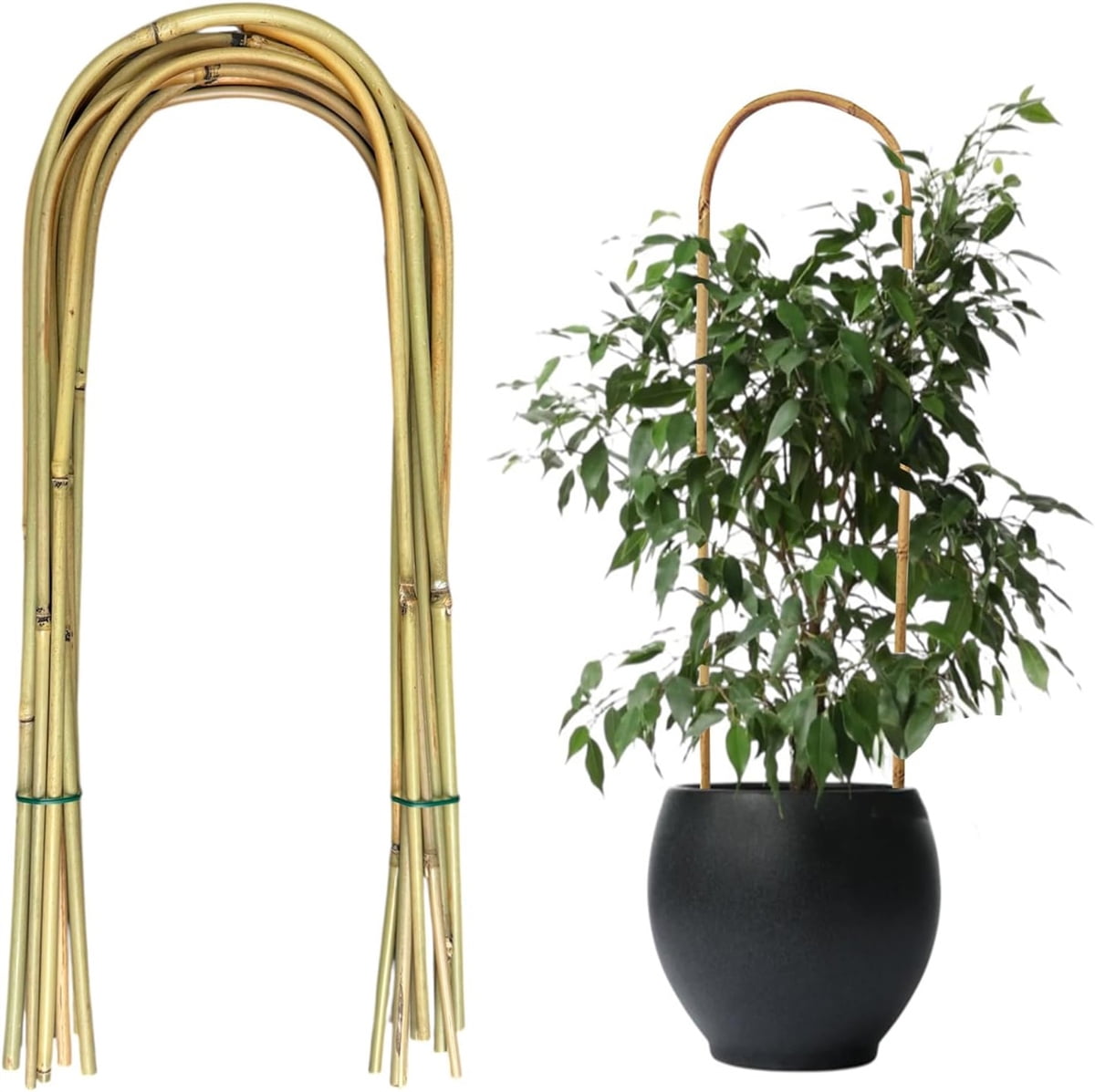 Bamboo Sticks Decoration: Creative Ideas to Transform Your Space