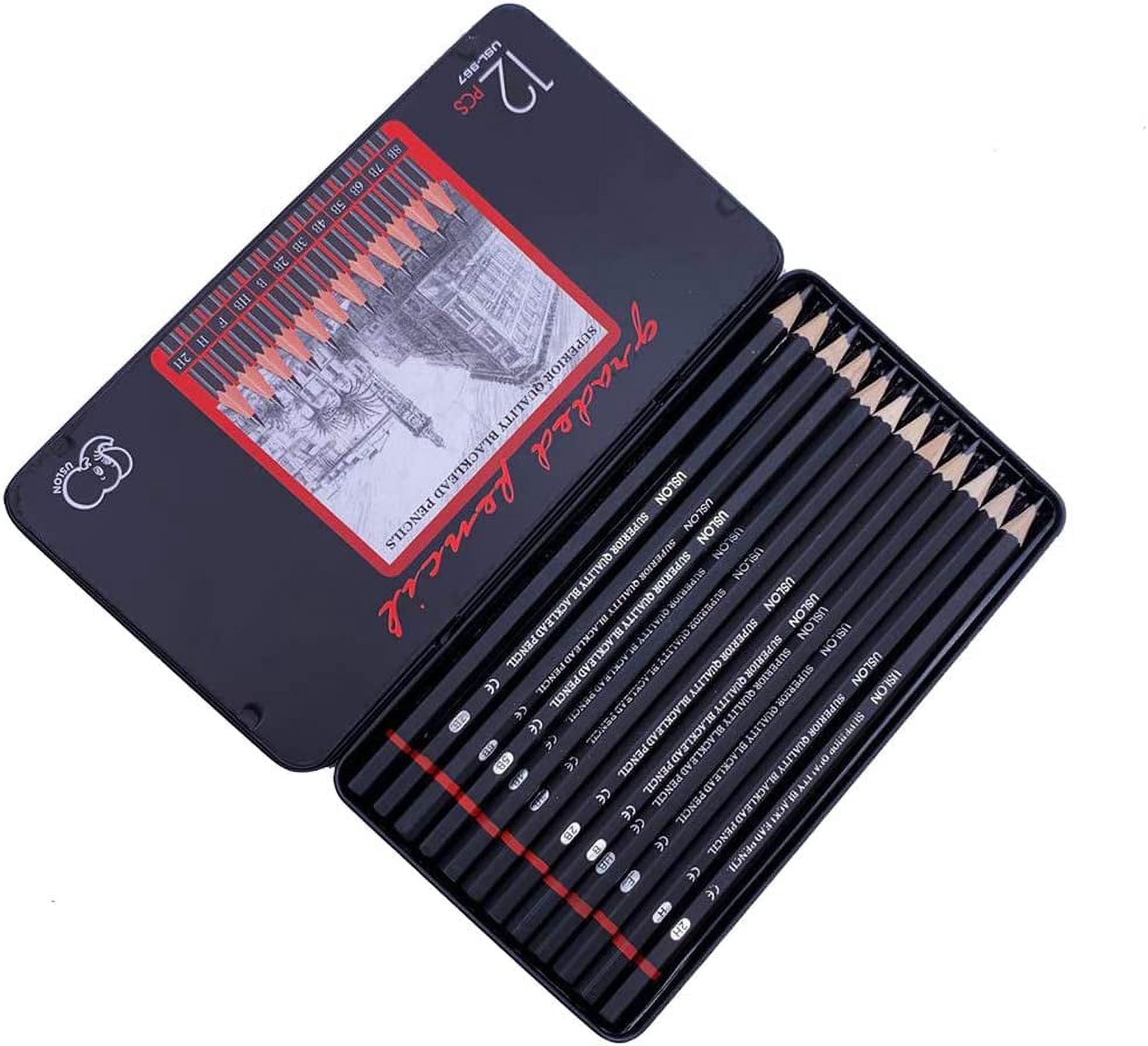 Tutuviw 12 Pieces Professional Sketch Pencils Drawing Set Super Soft, Soft, Medium and Hard Charcoal Pencils for Drawing, Sketching Artist Pencils