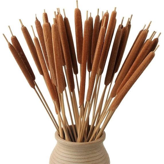 Tutuviw 15Pcs Dried Natural Cattails, Real Dried Cattails, Pencil Cattails Flowers, Plants Floral Stems Bundles for DIY Rustic Floral Arrangements, Wedding Home Farmhouse Decor - 17 inch Length