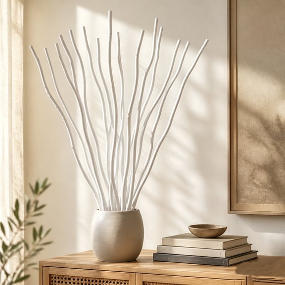 Tutuviw 16" Decorative Dried Twigs Sticks, 20 Stems Dried Curly Willow Branches, Natural Birch Branches for Vase Display, Farmhouse Home Table Centerpiece Dried Floral Decor (White)