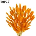 thumbnail image 1 of Tutuviw 16" Natural Bunny Tails Dried Flowers, 60 Pcs Dried Lagurus Ovatus, Dried Grass for Flower Arrangements, Wedding Centerpieces Home Party, Fall Decorations (Orange), 1 of 7