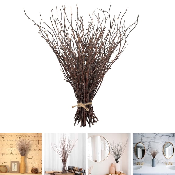 Tutuviw 17" A bundle of Dry Birch Twigs, Natural Birch Branches for Decorating, DIY Crafts, Flower Arrangement, Decorative Birch Sticks for Vase, Centerpieces, Dried Plants Decor