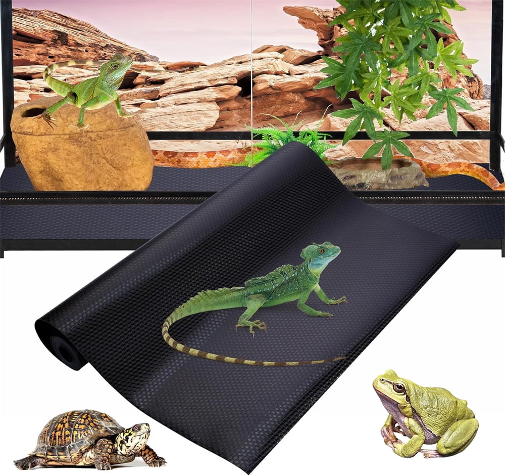 Picture of 15 Bearded Dragon Enclosure Ideas for a Perfect Habitat